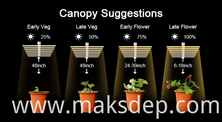 Heat Lamp For Plants